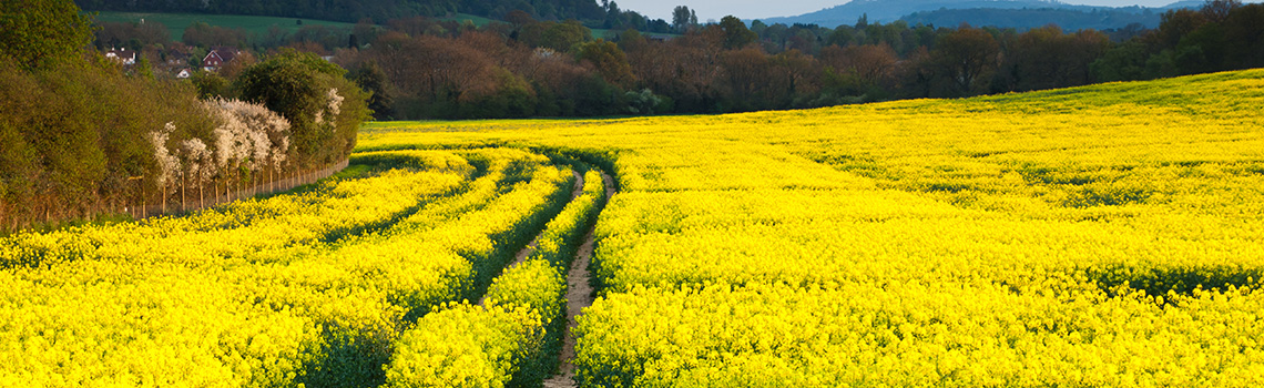 Serving private individuals, businesses, farmers and landowners for over 100 years.